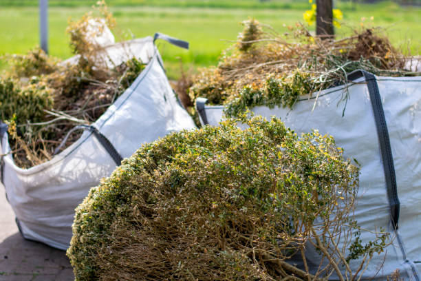 Best Attic Cleanout Services  in Blackshear, GA